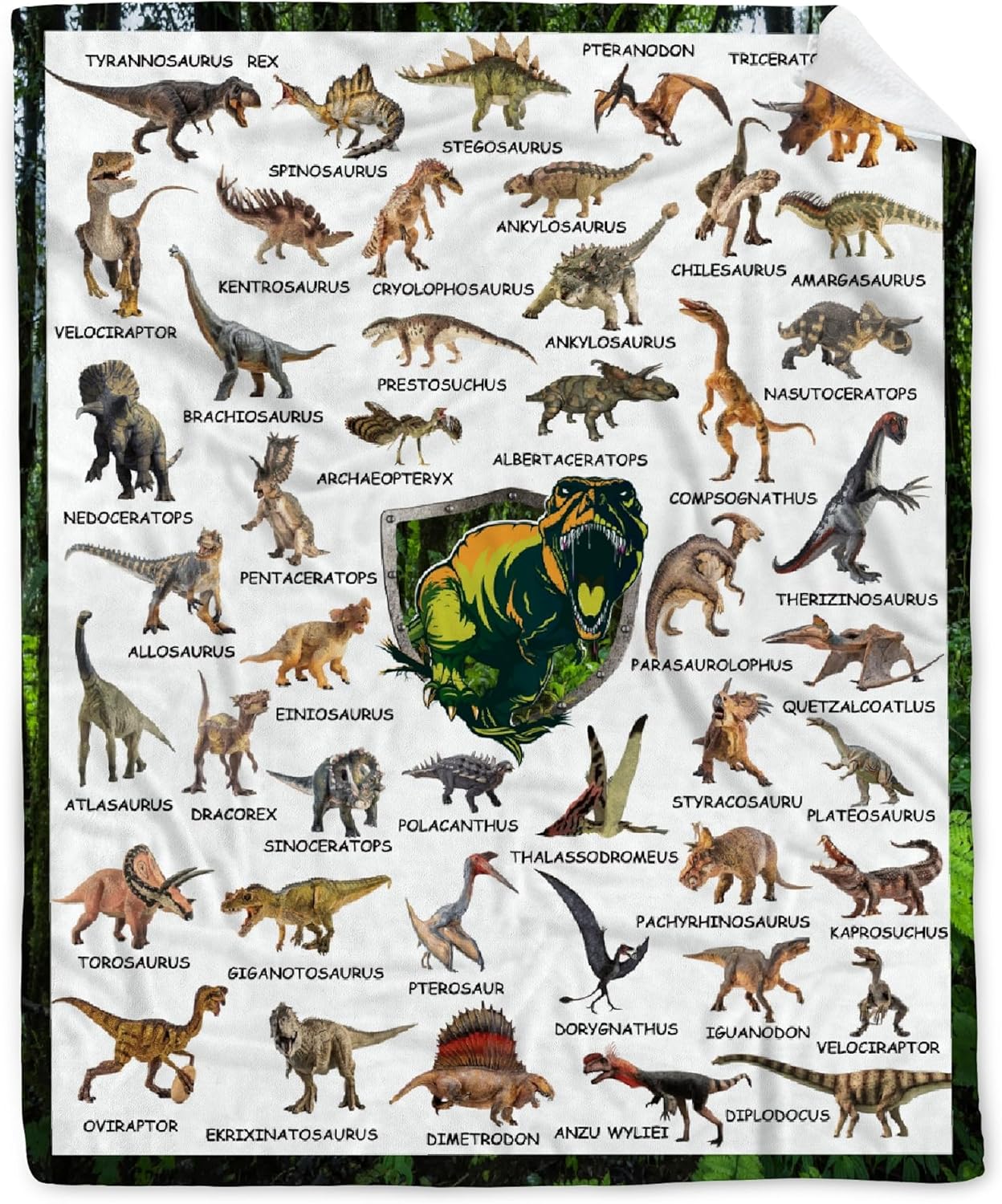 Buyyet Manta de franela de dinosaurio para niño y niña, regalo único, manta de decoración de habitación de dinosaurio para adolescentes y niños,