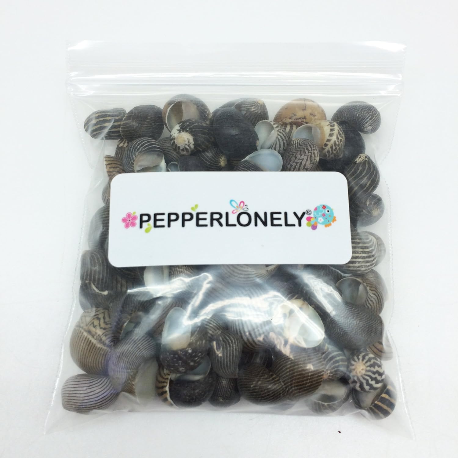 PEPPERLONELY 100 piezas de conchas marinas de Nerite Zig Zag, 12 pulgada  34 pulgadas