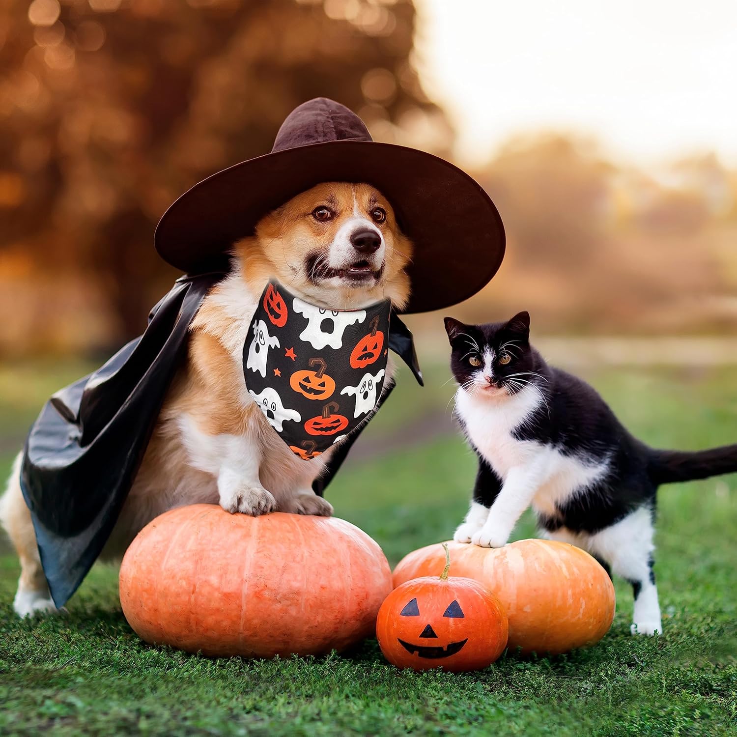 Bandana de Halloween para perro y gato, babero navideño y patrón de maíz de caramelo para cachorros grandes, medianos y pequeños mascotas