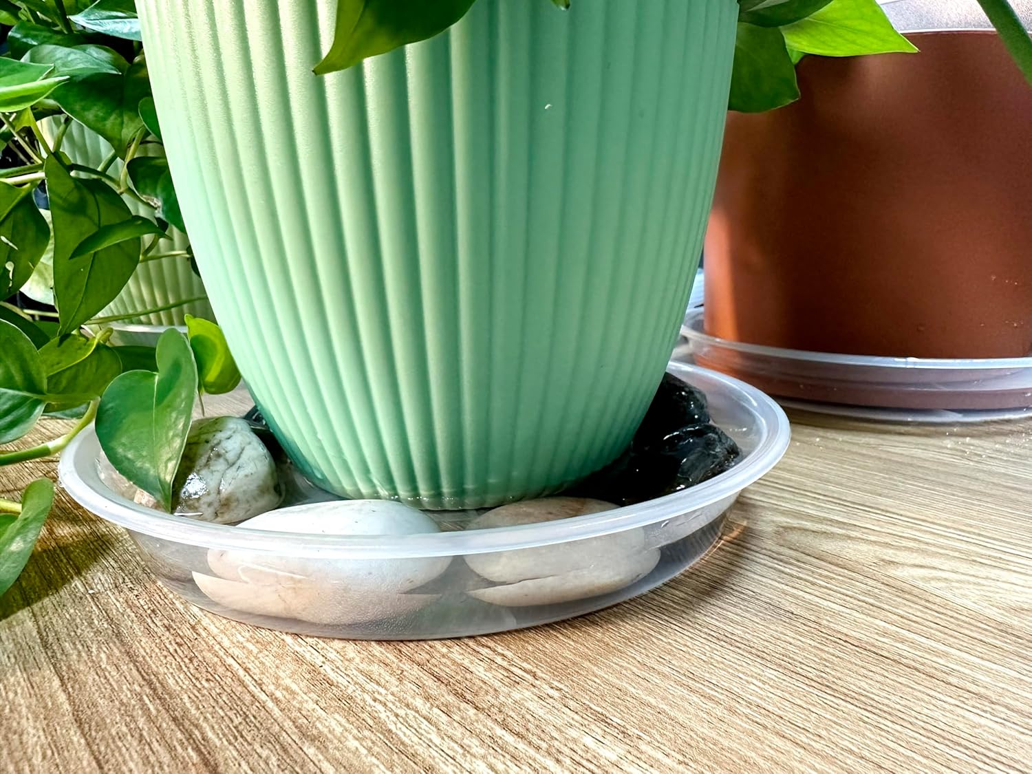 Platillos transparentes para plantas, paquete de 6 bandejas redondas de plástico de 8 pulgadas, resistentes para interiores y exteriores, jardín,