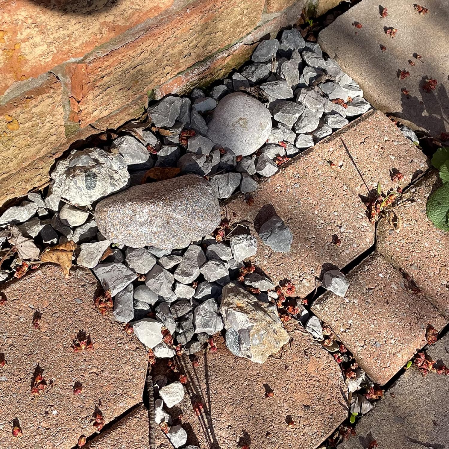 PANGAEA Hide-a-Spare-Key – Roca falsa  Se ve y se siente como piedra real  Seguro para jardín al aire libre o patio, geocaching (tipo C, 1 paquete),
