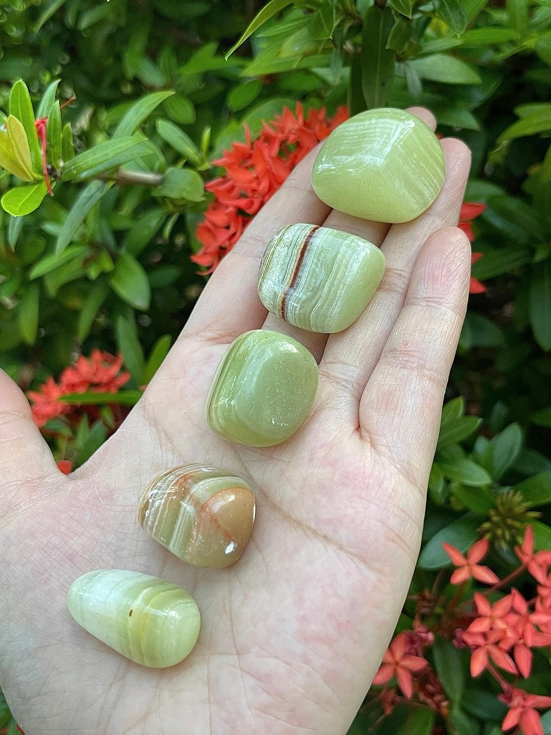 GAF TREASURES Piedras pulidas de ónix verde de 12 libra, piedra preciosa de ónix verde pulido, cristales curativos de ónix verde (ónix verde, 0.5
