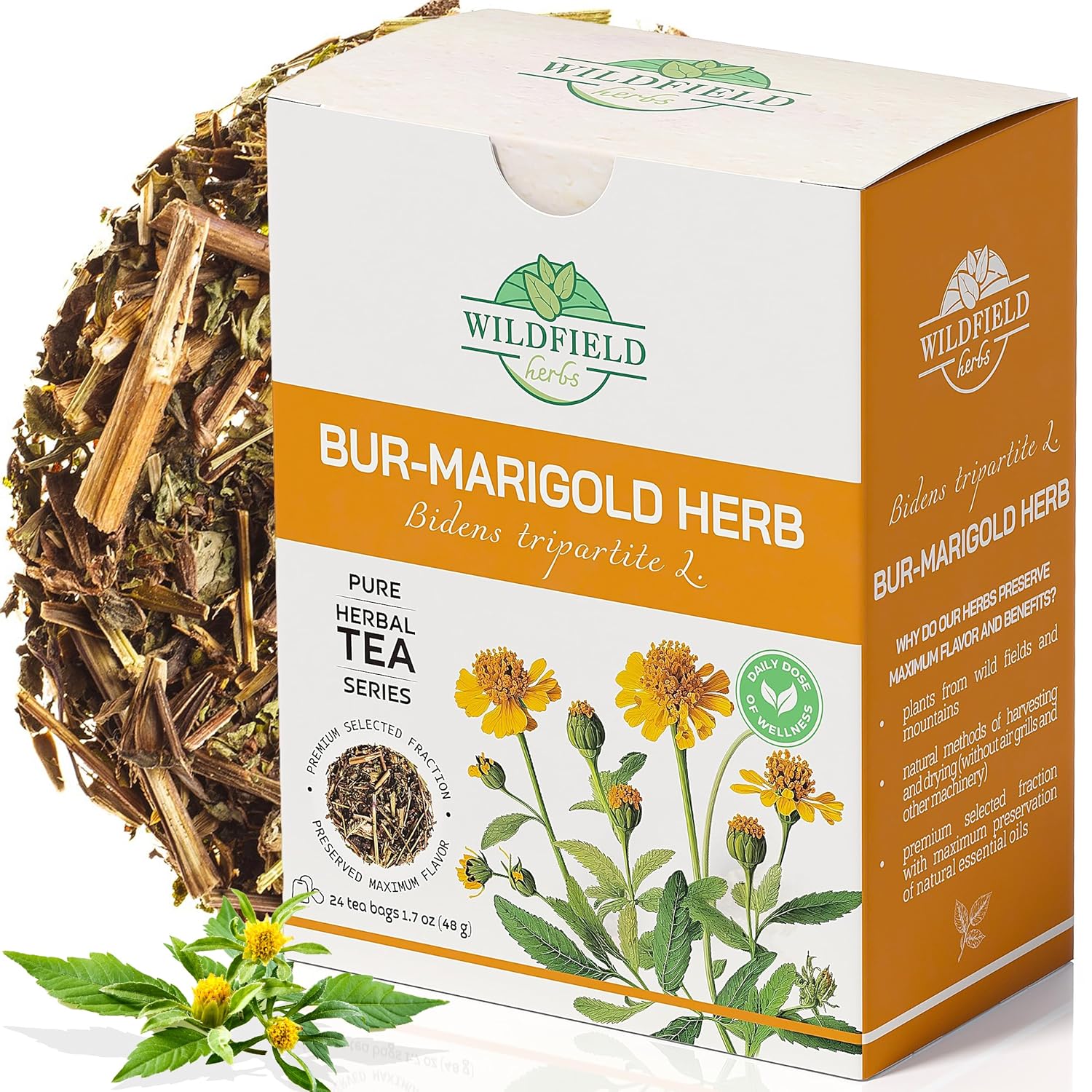 24 bolsas de té de caléndula seca Bur Caléndula Té de hierbas Marygold (Bidens tripartite L.) – 24 unidades 0.07 oz Bolsas de té 100% Chereda