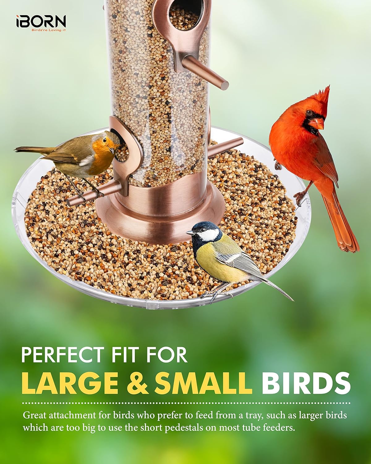 iBorn Comedero para pájaros atrapador de semillas para colgar en el exterior, comedero de pájaros de 6 puertos para pájaros cardenales de metal de