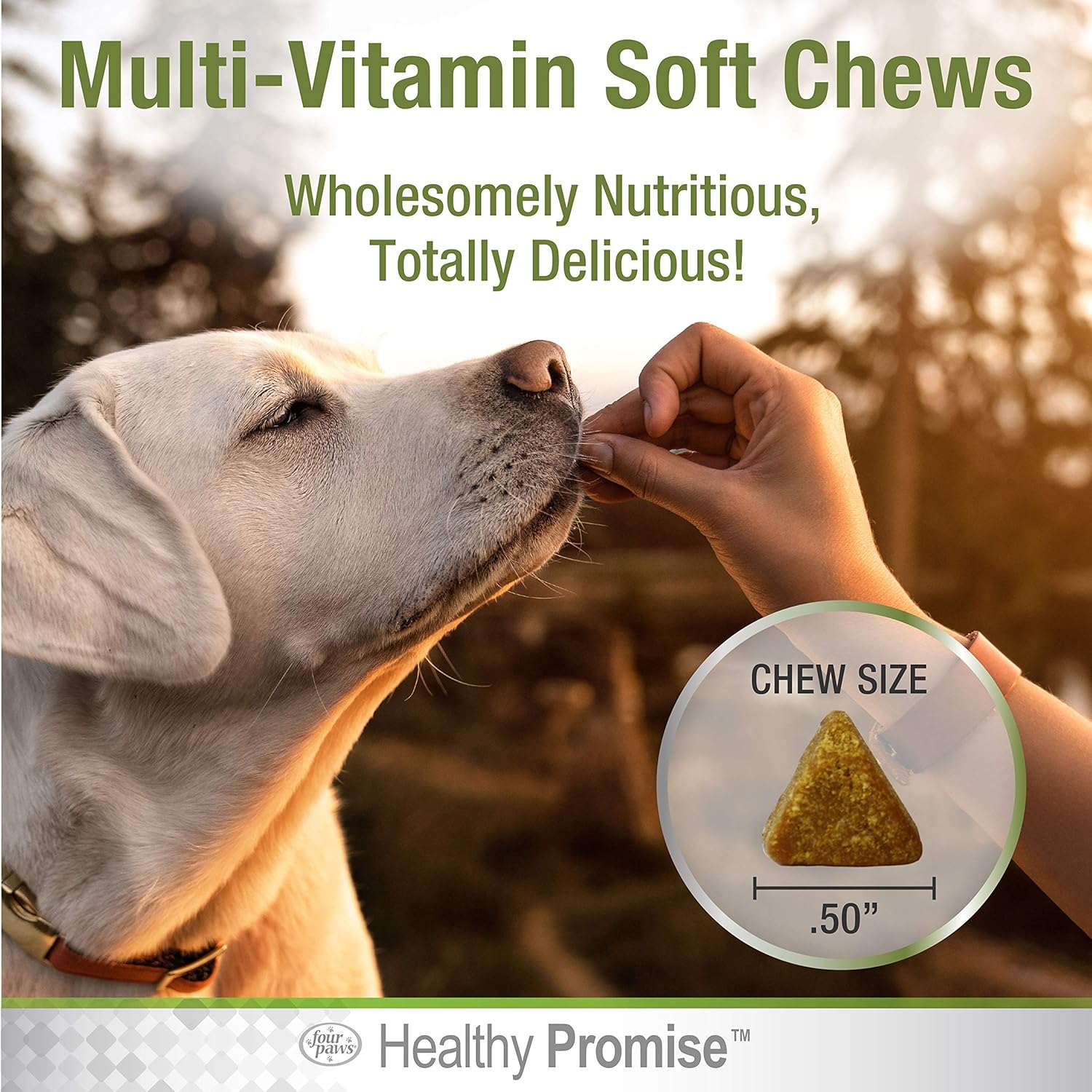 Four Paws Healthy Promise Dog Multivitamínico Masticable Suave 120 unidades