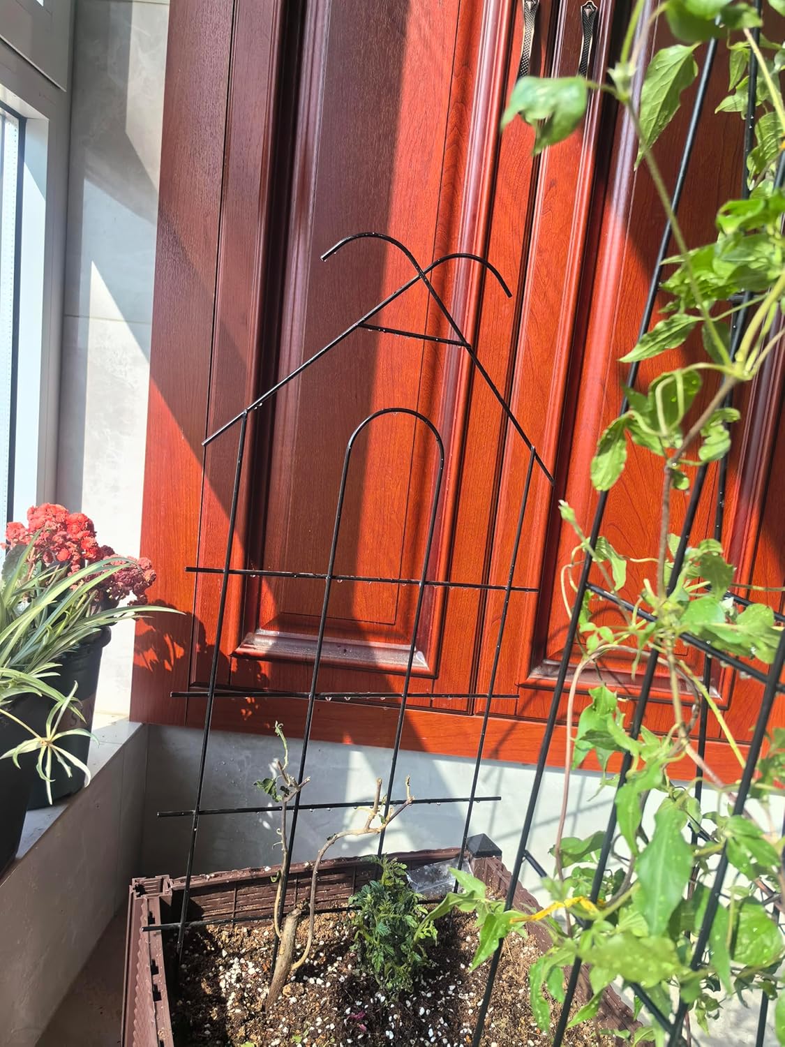 Enrejado de metal para jardín de 24 pulgadas para plantas trepadoras, enrejado resistente para plantas en maceta, plantas de interior, enredaderas