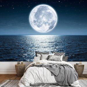 wall26 Mural de pared extraíble Luna llena que se levanta sobre el océano vacío por la noche con espacio de copia, papel tapiz grande autoadhesivo – wall26 Mural de pared extraíble Luna llena que se levanta sobre el océano vacío por la noche con espacio de copia, papel tapiz grande autoadhesivo –