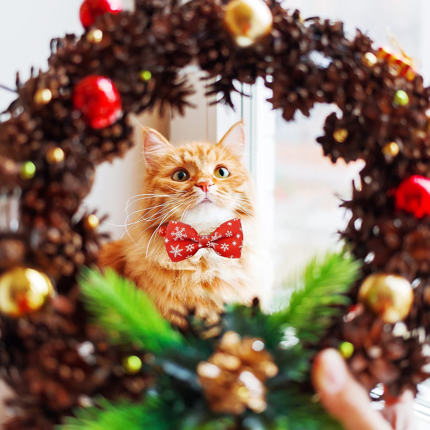 Pohshido Collar de gato navideño con pajarita y campana, paquete de 2 gatitos de invierno para niño y niña