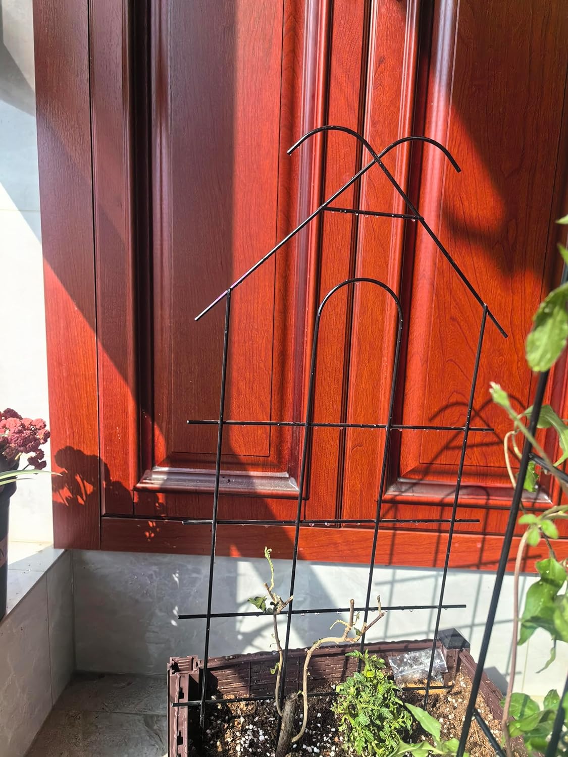 Enrejado de metal para jardín de 24 pulgadas para plantas trepadoras, enrejado resistente para plantas en maceta, plantas de interior, enredaderas