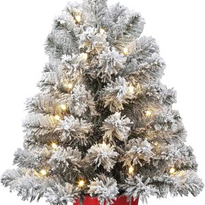 Haute Decor Árbol de 20 pulgadas en maceta Night Night en maceta de metal rojo con cinturón de Papá Noel (nevado con luces transparentes) – Árbol de Haute Decor Árbol de 20 pulgadas en maceta Night Night en maceta de metal rojo con cinturón de Papá Noel (nevado con luces transparentes) – Árbol de