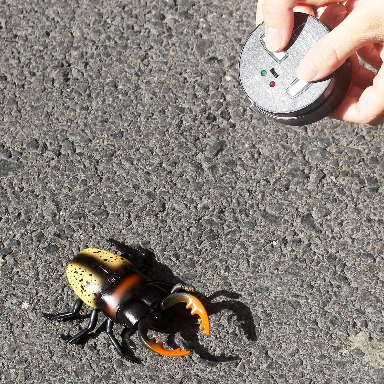 Tipmant RC Beetle Control remoto insectos realista simulación electrónica escalador animal broma vehículo de juguete regalos de cumpleaños para