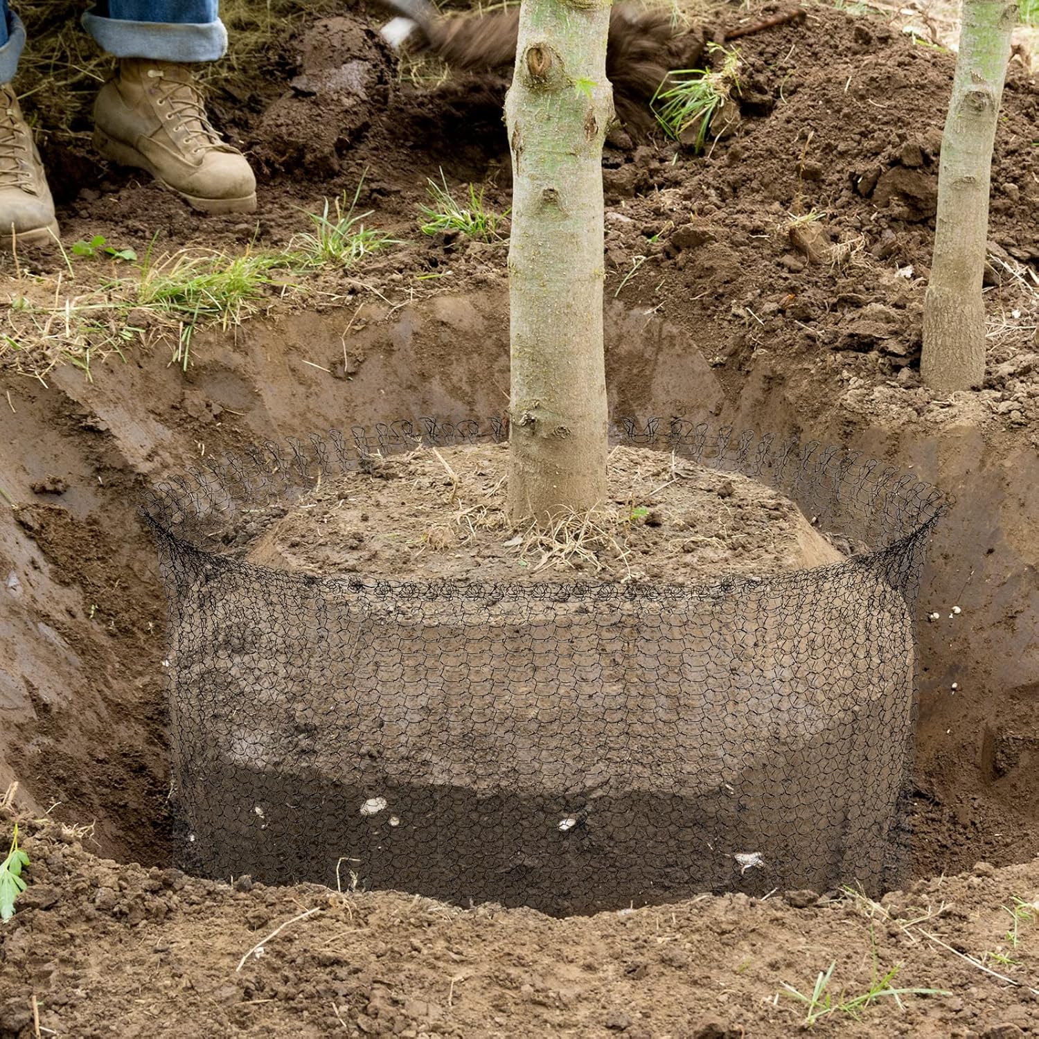 24 cestas de protección de raíces, cestas de alambre resistentes de acero inoxidable para plantas, 5 tamaños, cesta de alambre grande, jaula de