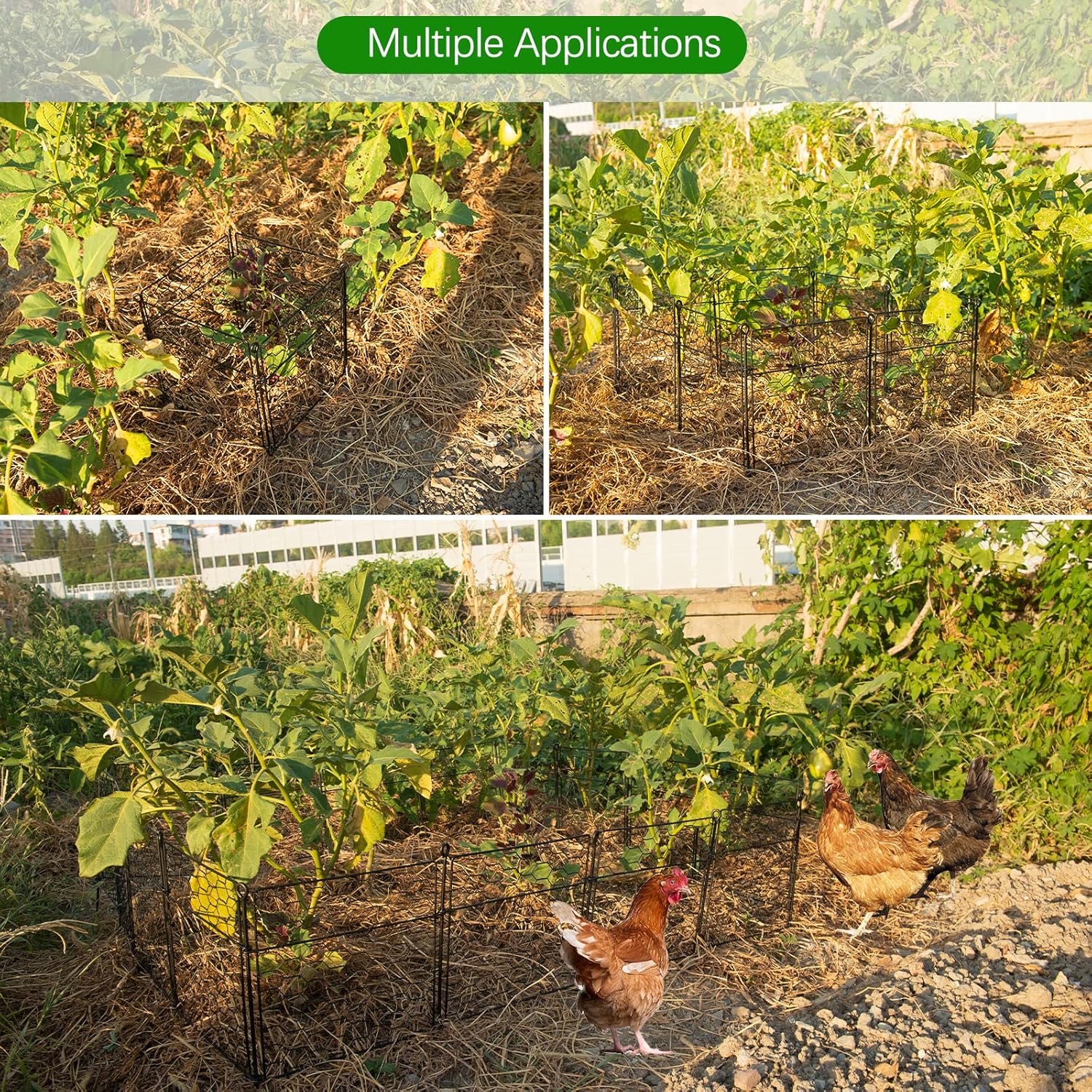 nutroeno Protector de plantas Cloche de alambre de pollo, soporte de jaula de malla para verduras, plantas y arbustos de animales, conejos, gatos y