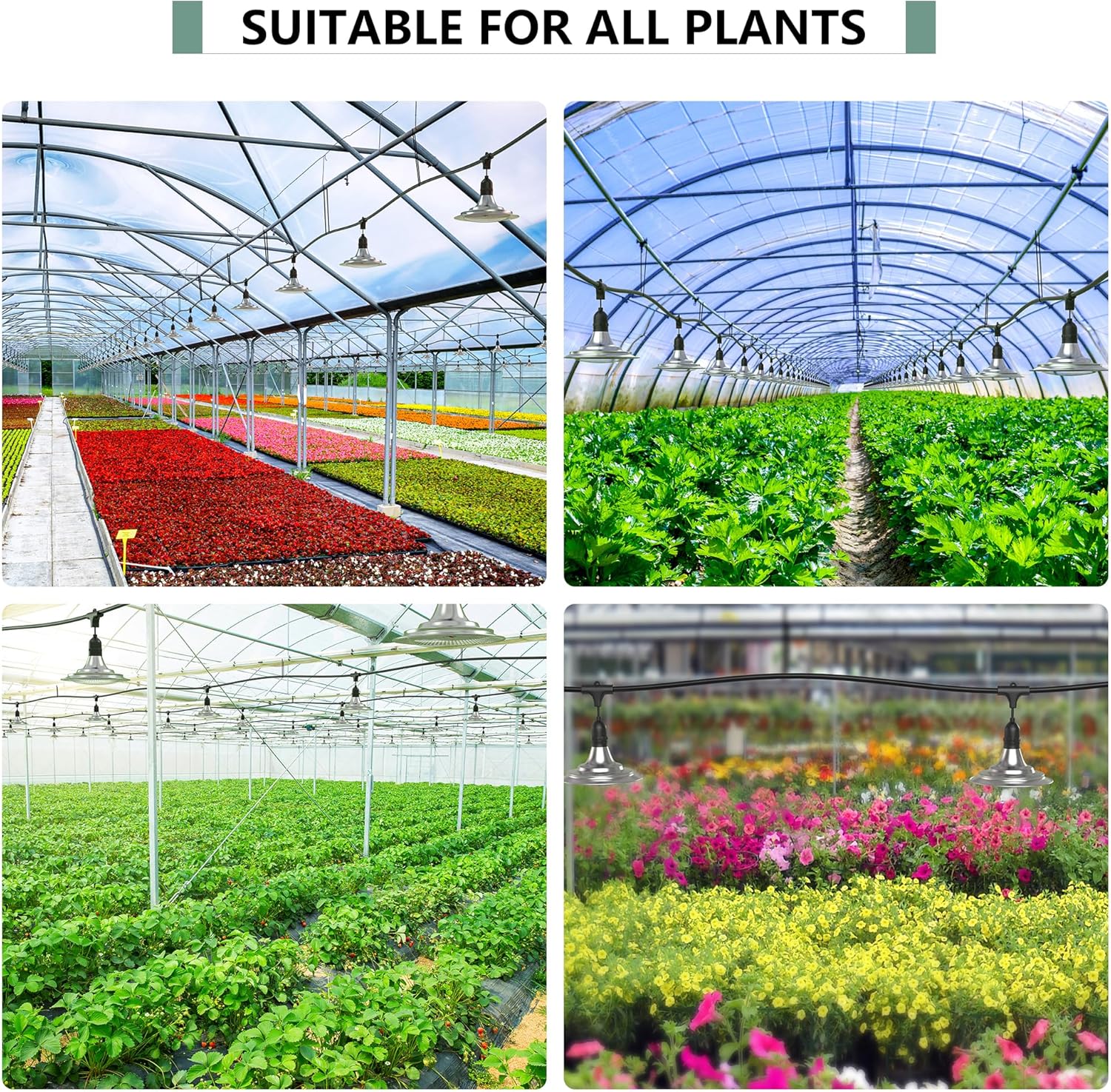 Luces de cultivo al aire libre para invernadero, luces de cultivo de invernadero de espectro completo para plantas al aire libre, cadena impermeable