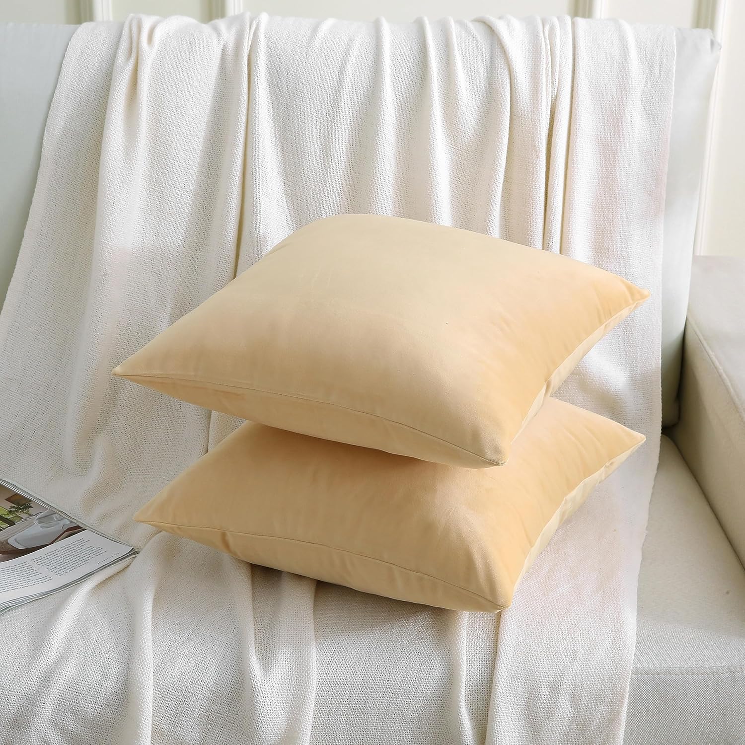 SHENGDETECH Juego de 2 fundas de almohada cuadradas de terciopelo de 250 GSM, de 18 x 18 pulgadas, supersuaves, de color liso, para decoración de