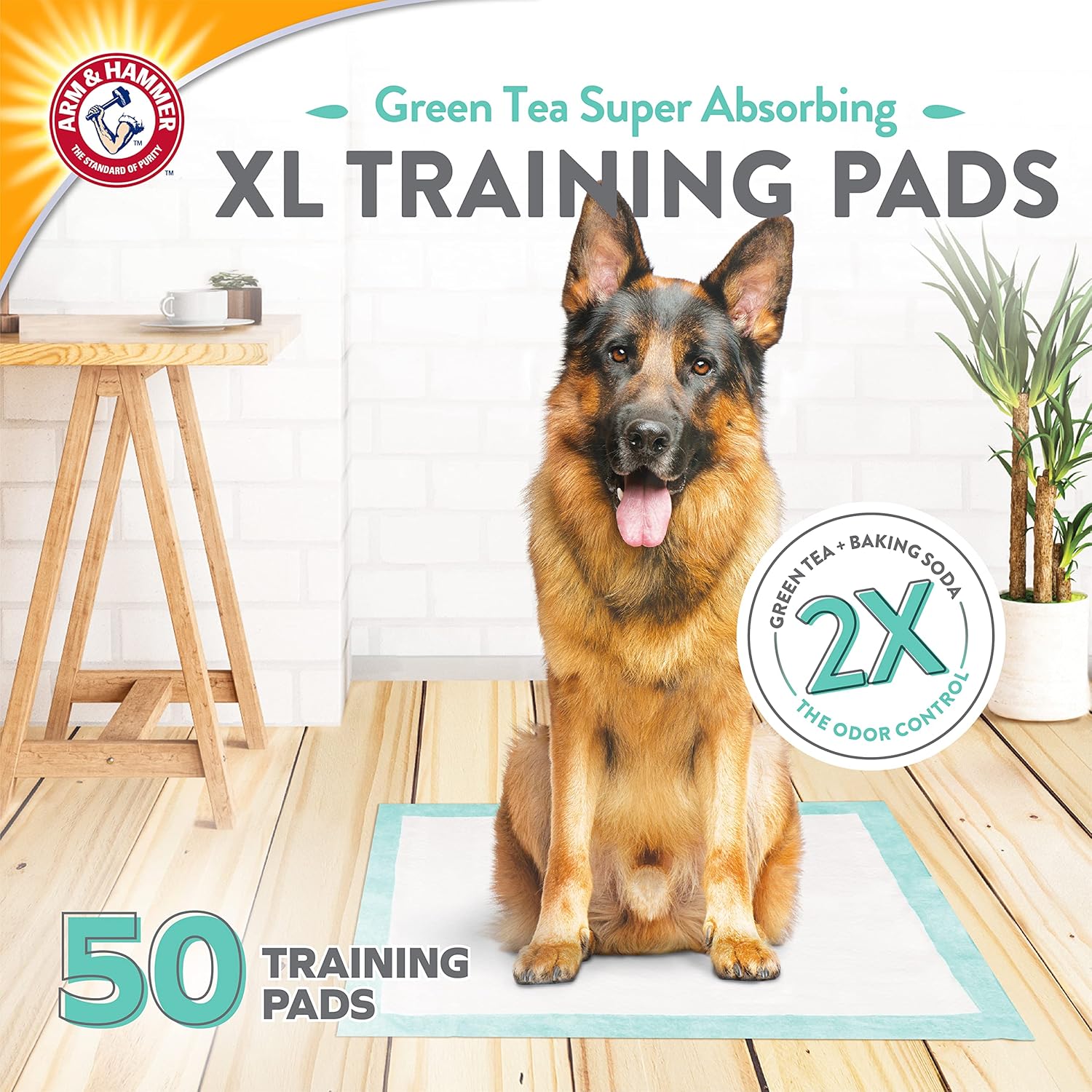 Arm & Hammer Green Tea Almohadillas de entrenamiento para mascotas, 200 almohadillas de entrenamiento para perros con bicarbonato de sodio de té