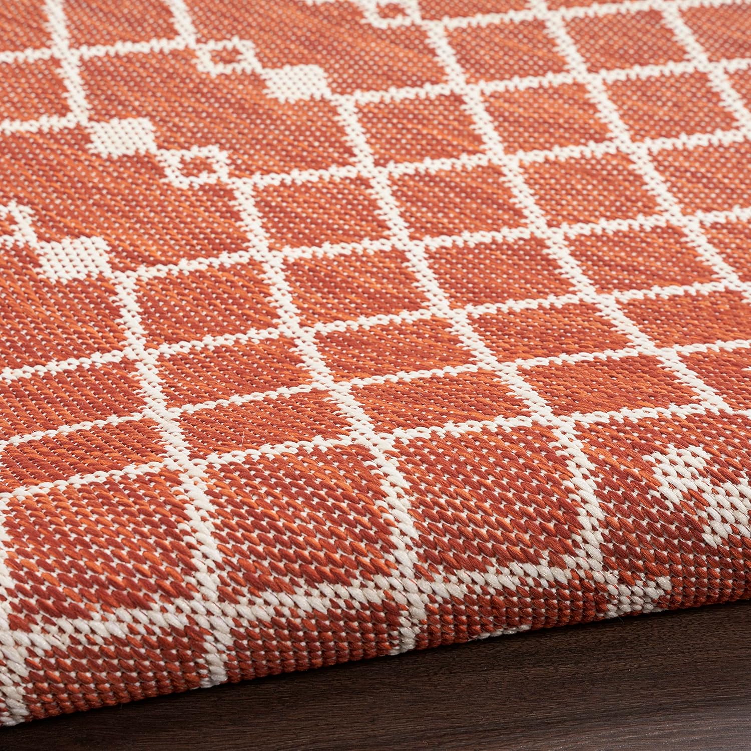 Nourison Positano – Alfombra de 5 x 7 pies, color terracota para interiores y exteriores, fácil de limpiar, no se desprende, para dormitorio, sala