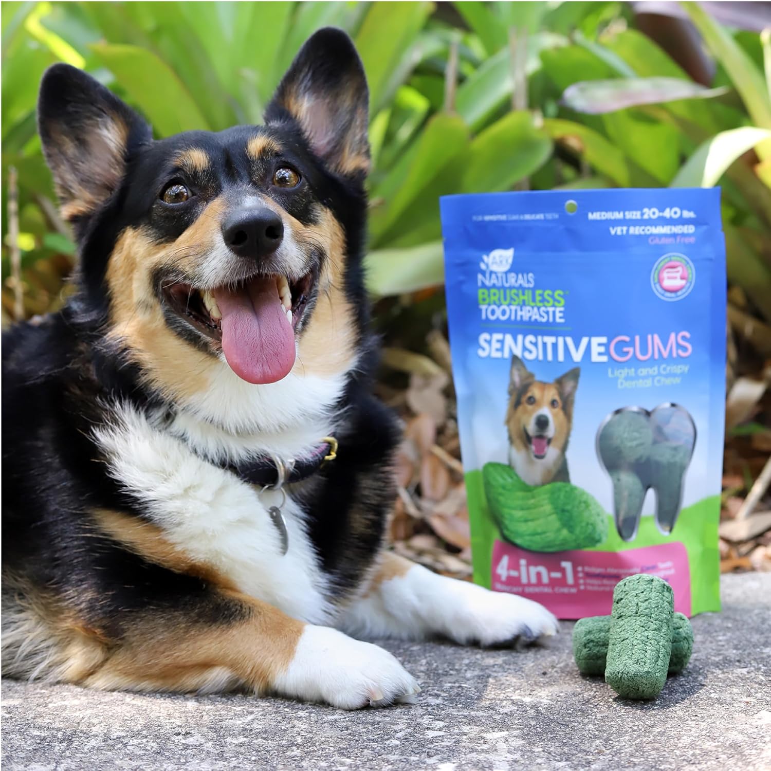 Ark Naturals Pasta de dientes sin escobillas para encías sensibles, masticables dentales para perros para razas medianas, recomendado por