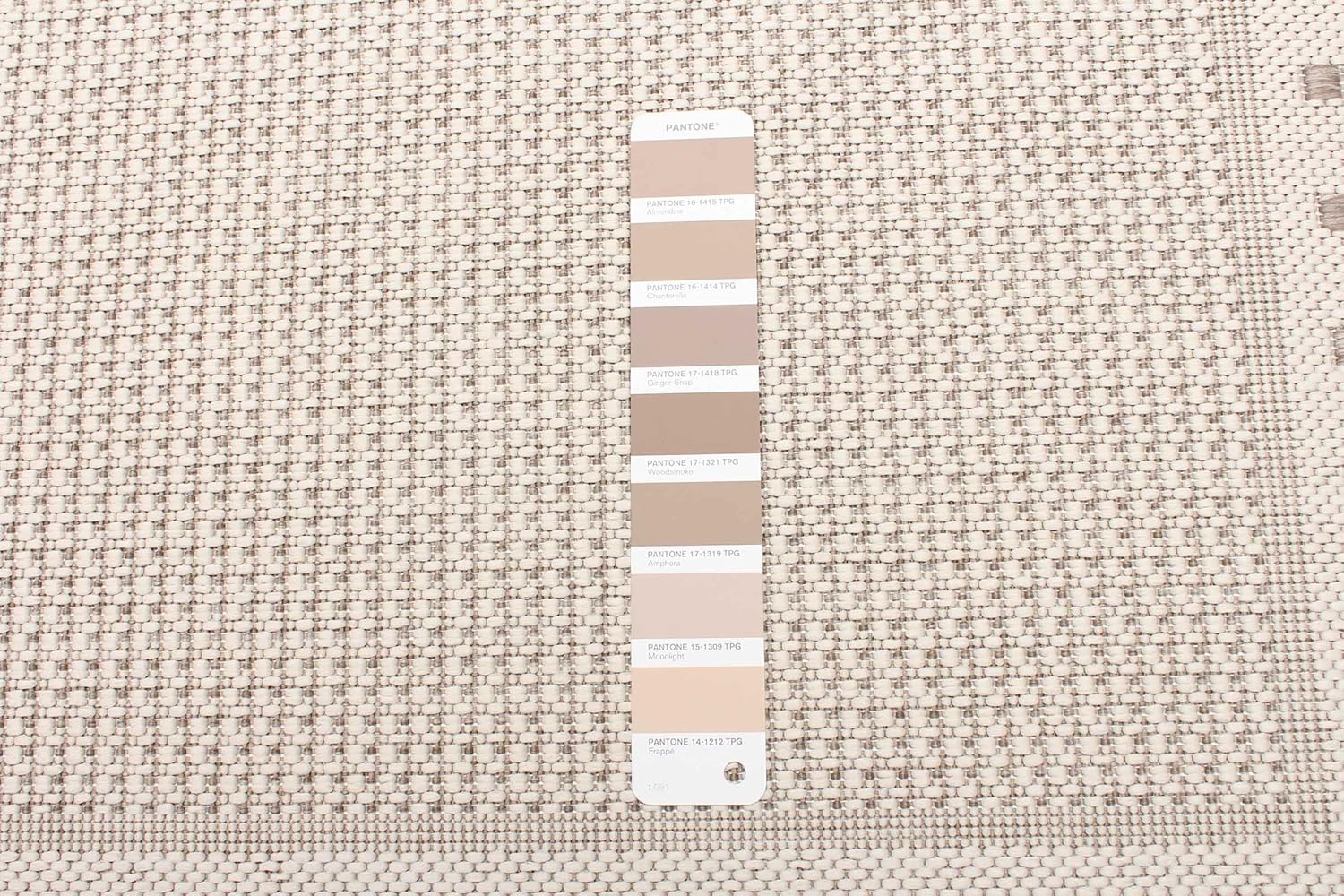 eCarpet Gallery ECARPETGALLERY – Tapete para interiores y exteriores, parte trasera de goma antideslizante, impermeable, 2 pies 2 pulgadas x 6 pies