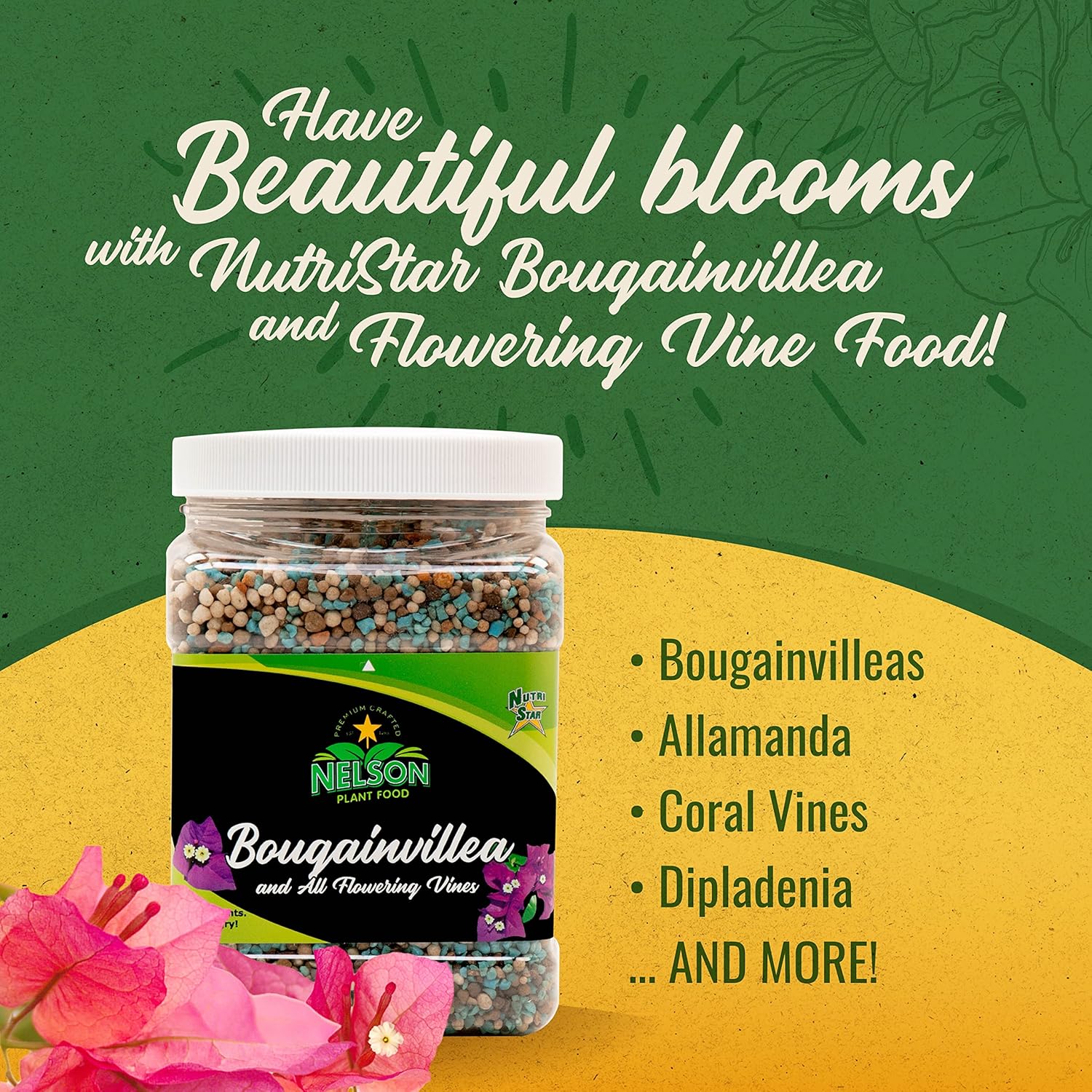 Nelson Plant Food – Fertilizante de buganvilla – Fertilizante para plantas de interior y exterior – Alimento vegetal multiusos para vides –