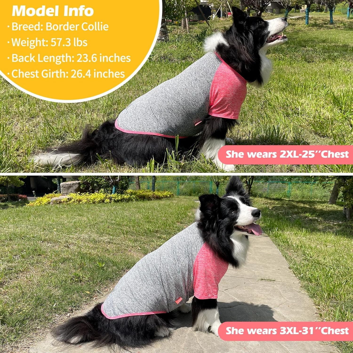 KYEESE Paquete de 2 camisas para perro de secado rápido, transpirables, ligeras, elásticas, protegen contra las colas de zorra, camiseta para perro