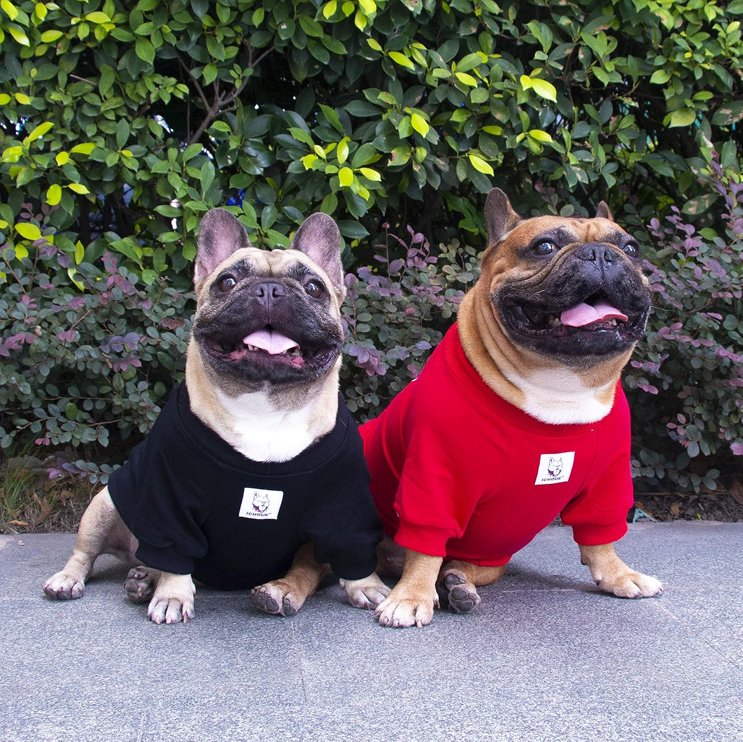 iChoue Sudadera de Bulldog Francés Bordado Ropa para Perro para Pug Frenchie Inglés Amarican Pitbull Boston Terrier – NegroMediano