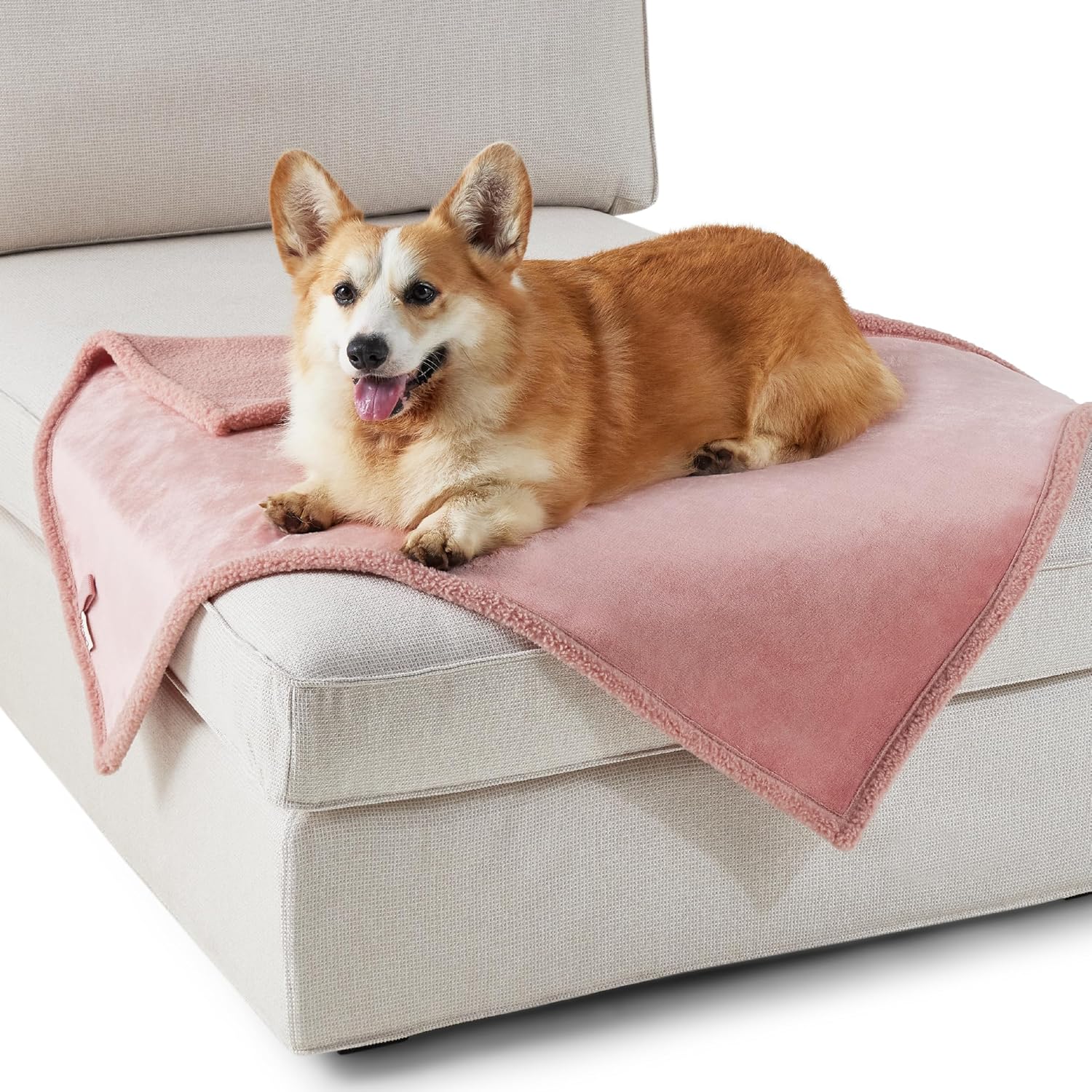 Lesure – Manta impermeable para perros Mediun, mantas lavables para mascotas reversibles para gatos con sherpa de trigo duradero de 11.64 ozm y