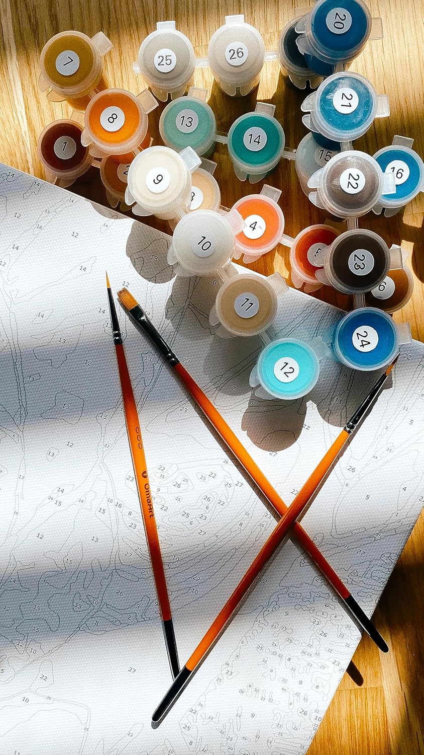 Omaart Kit de pintura por números para principiantes, lienzo enmarcado, bonito diseño de peonías, incluye lienzo enmarcado y estirado preimpreso,