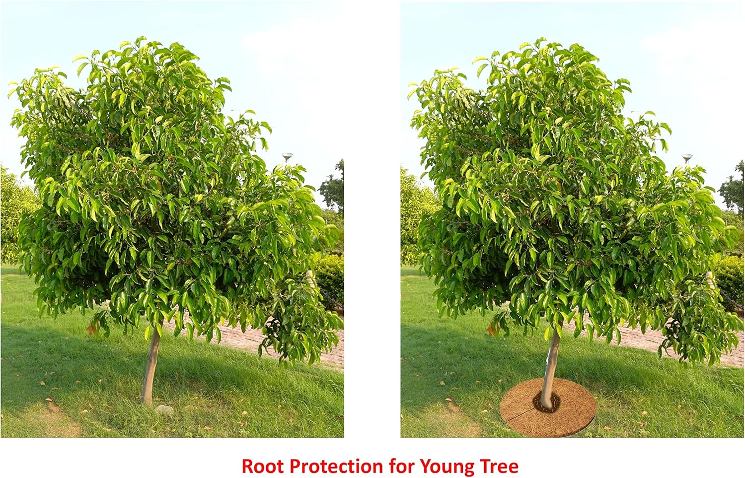 Deepthi Alfombrilla de mantillo de fibra de coco para plantas, cubierta para macetas, protectores de anillos de árbol, disco de fibra de coco,