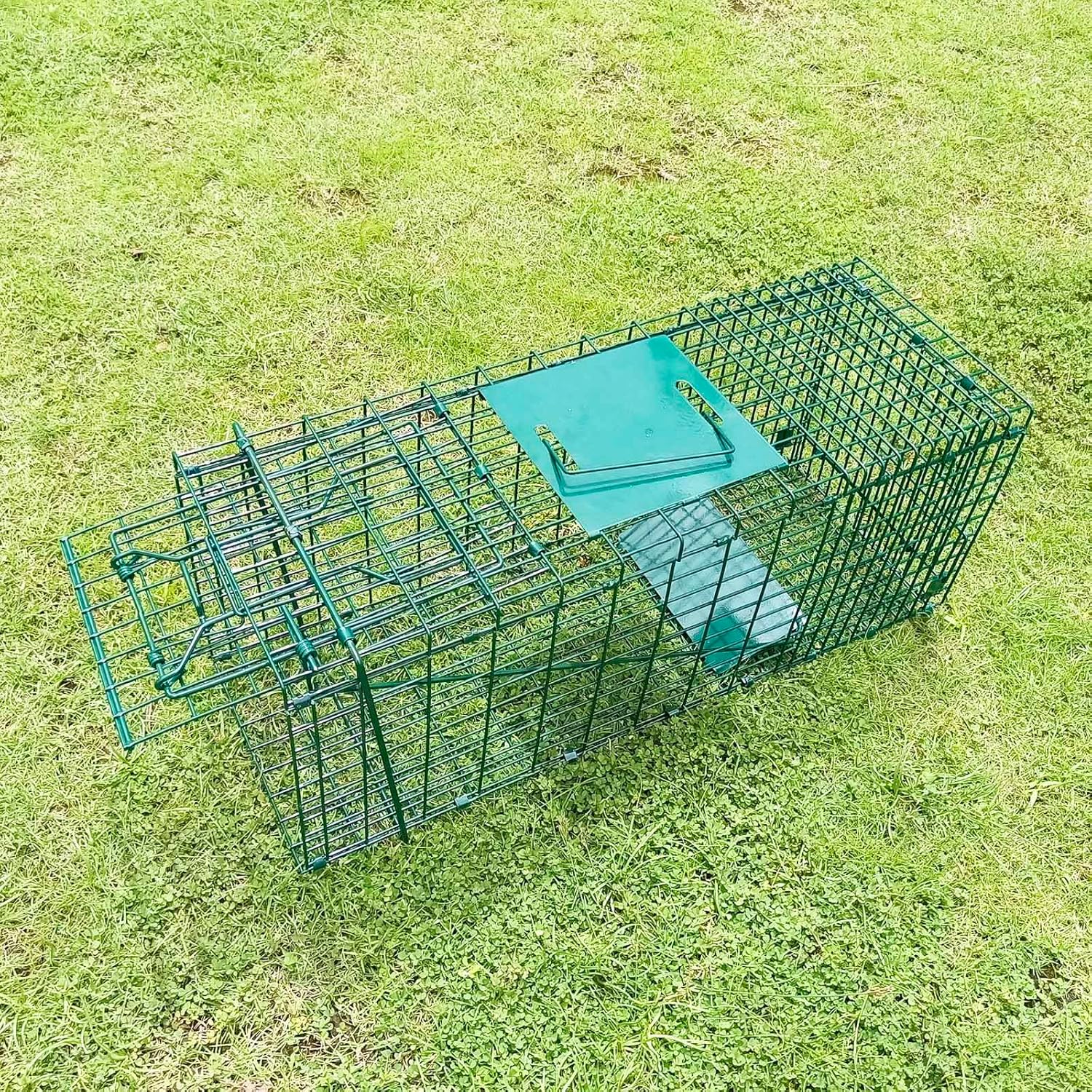 Trampa plegable para animales vivos, kit de trampa para animales vivos sin matar, para conejos de liberación de capturas, gatos callejeros,