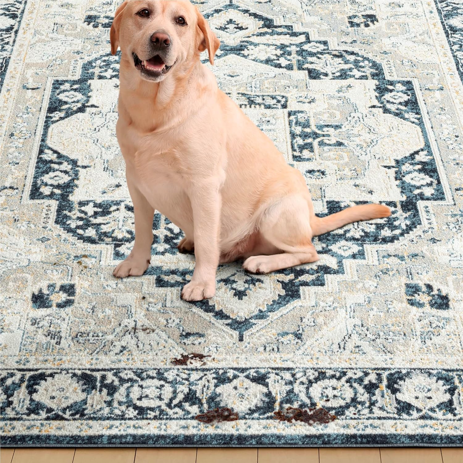 Home Dynamix Everwash Treasure Rubia – Alfombra tradicional lavable a máquina, marfilazul marino, 5.2 x 7.2 pies