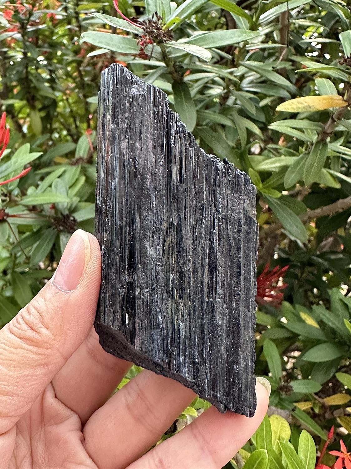 GAF TREASURES Trozovarillatronco de turmalina negra extra grande, cristal de turmalina negra natural, turmalina negra cruda, forma libre de