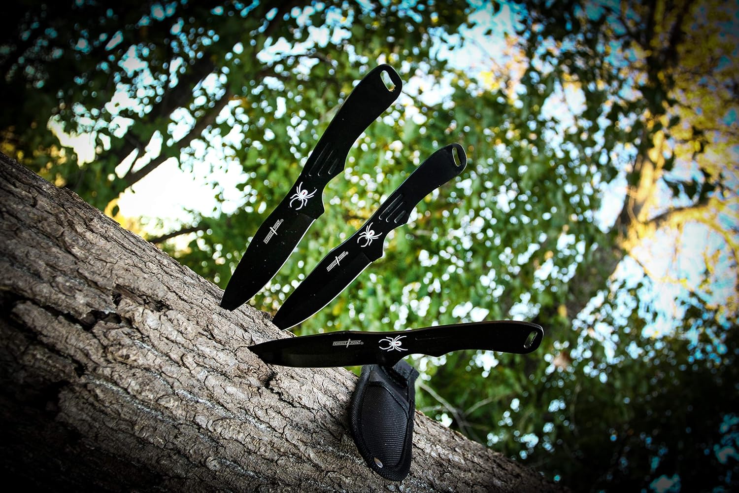 BladesUSA Perfect Point – Cuchillos para lanzar  Juego de 3  Cuchillas y asas de acero inoxidable negro con diseño de araña, funda de nailon,