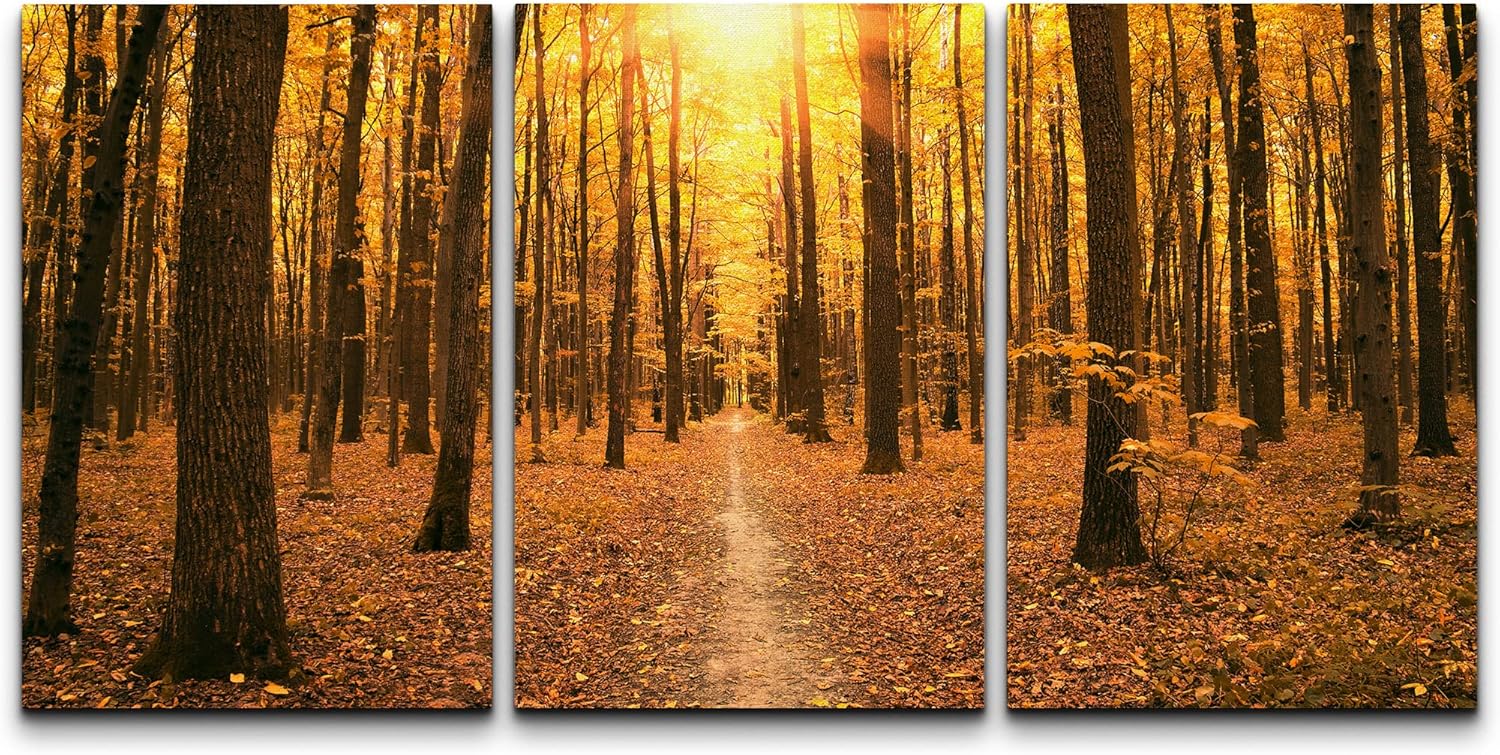 wall26 Lienzo impreso para pared, diseño de bosque de árboles de otoño rojo y naranja, al anochecer, naturaleza, desierto, fotografía, realismo,