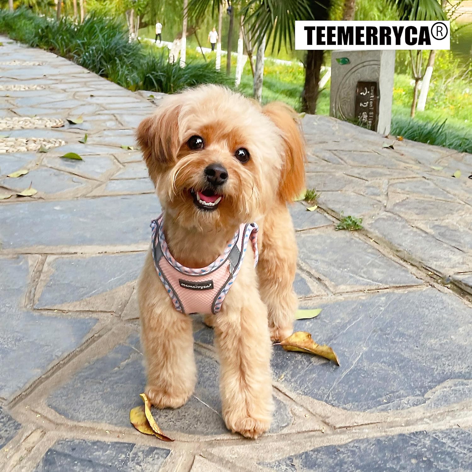 TEEMERRYCA Juego de arnés y correa para perro para todo tipo de clima, fácil de poner y quitar, arnés reflectante ajustable sin tirones para