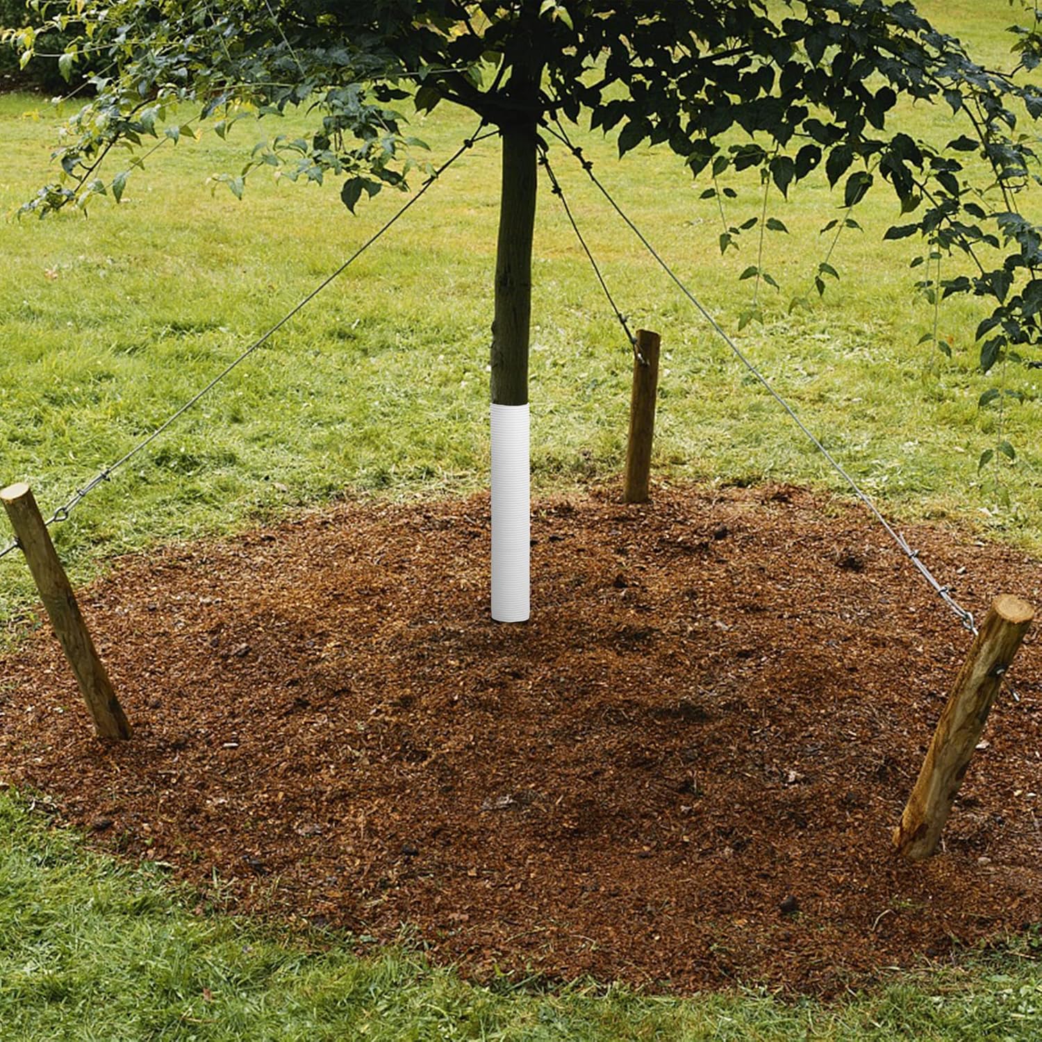 6 protectores de árbol corrugado, diámetro de 1.96 pulgadas, protectores de tronco de árbol de PP, protectores de tubo protector de corteza de árbol