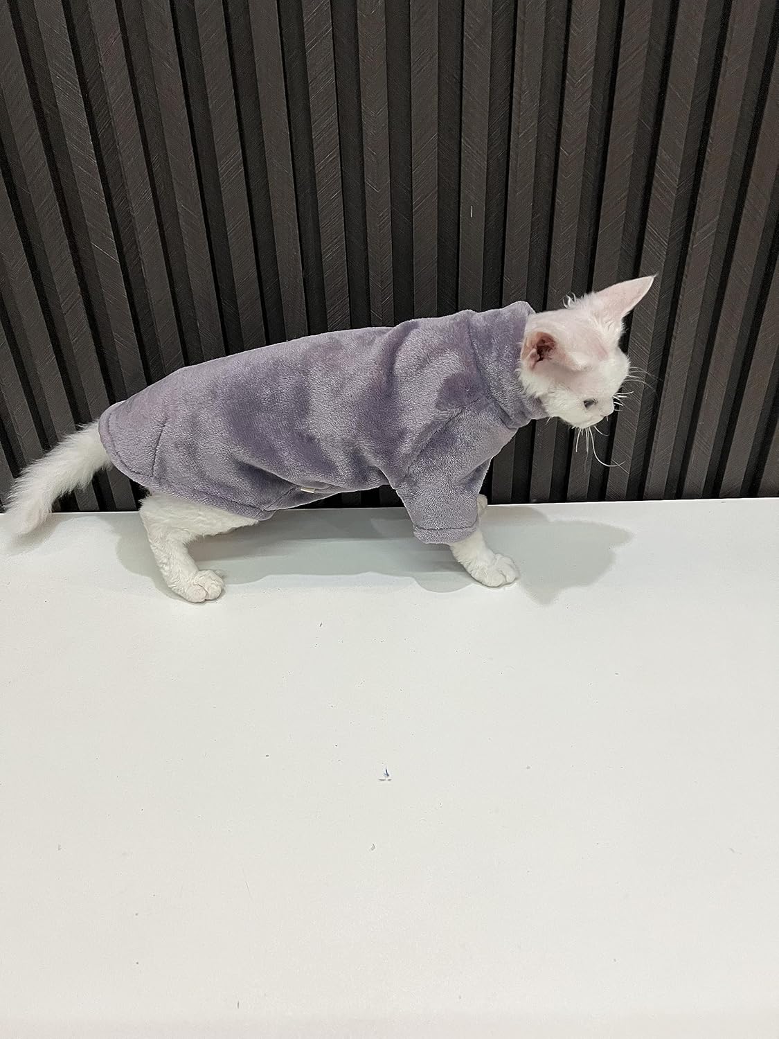 Sphynx – Ropa de gato sin pelo, suéter de piel sintética suave y liso, lindo suéter de otoño e invierno, a la moda, cuello alto, ropa de esfinge,