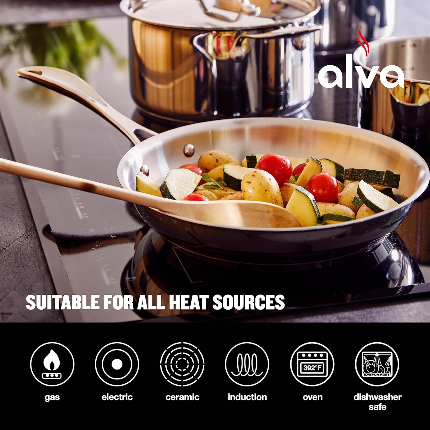 Alva Sartén para chef, sartén de acero inoxidable, apta para horno, compatible con inducción, sartén para tortilla apta para lavavajillas, sartén