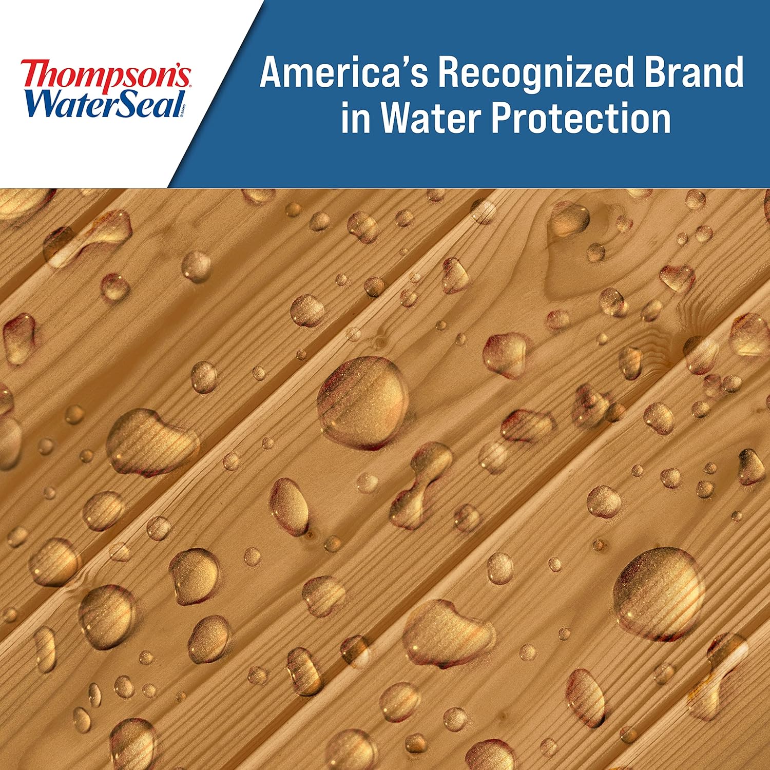 Thompson’s WaterSeal Tinte y sellador de madera impermeabilizante transparente, cedro natural, 1 galón
