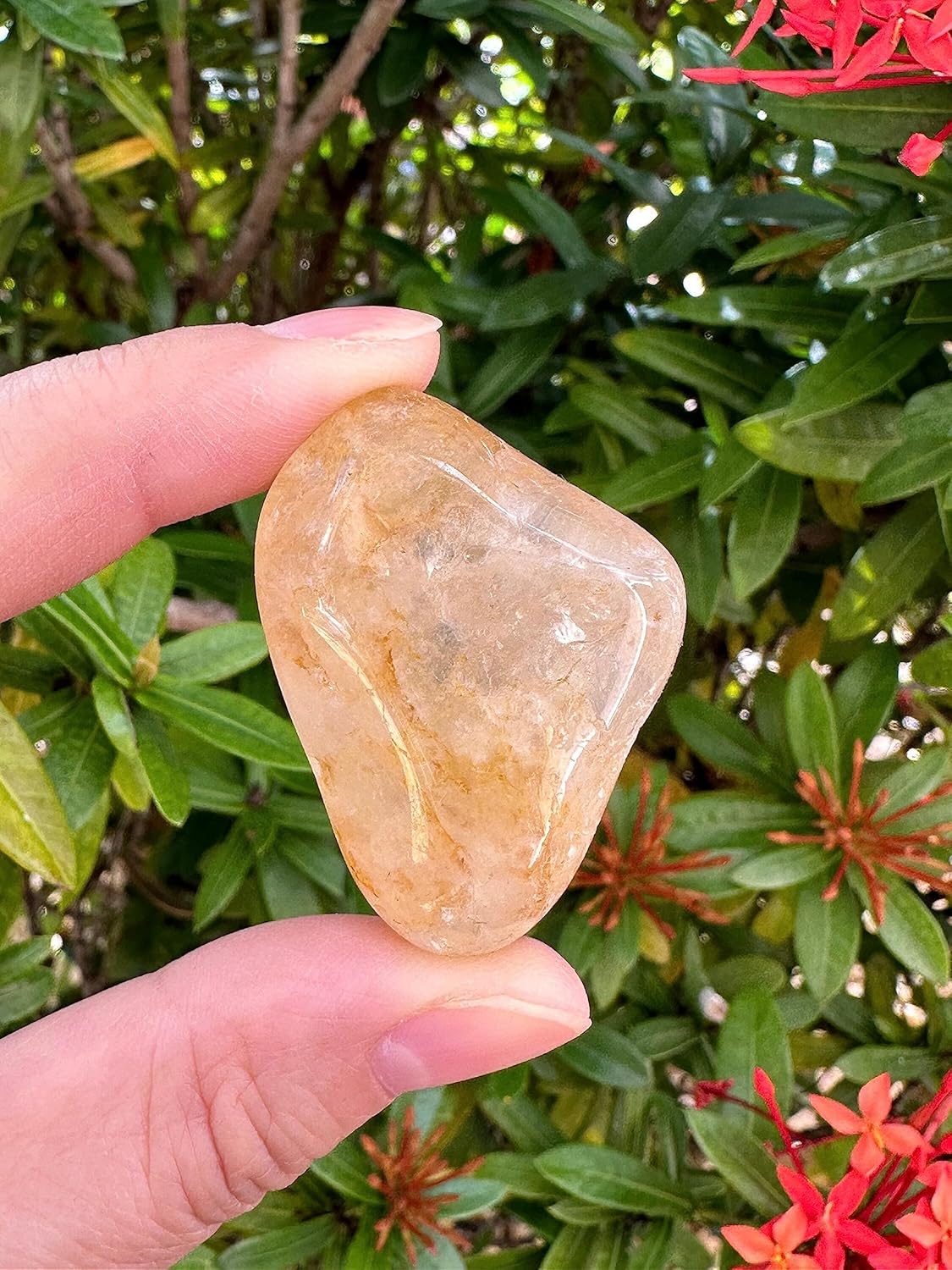 GAF TREASURES Piedras pulidas de cuarzo curandero dorado de 12 libra, piedra preciosa de cuarzo curandero dorado natural pulida, cristales curativos