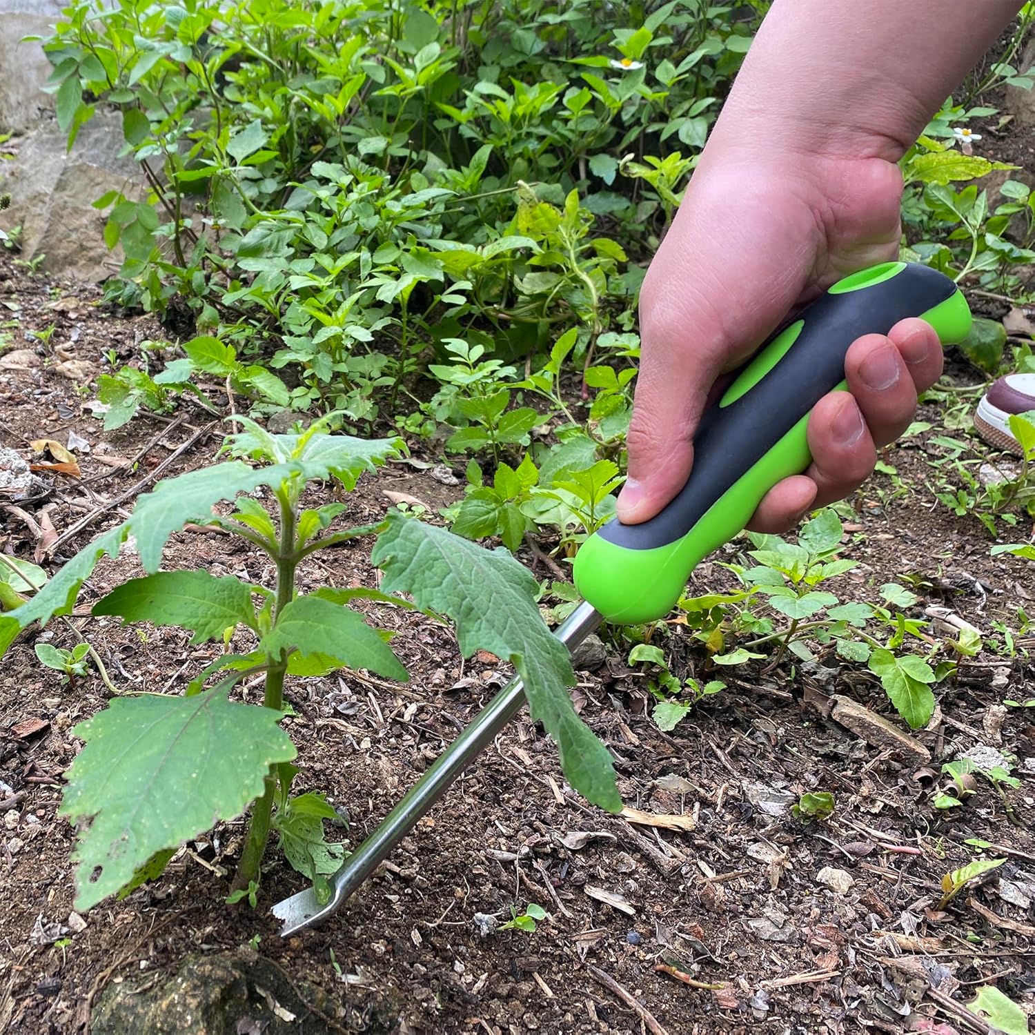 GEARLINTON Herramienta de desbrozadora manual de jardín con mango ergonómico, extractor de malezas de césped de jardín de acero inoxidable, paquete
