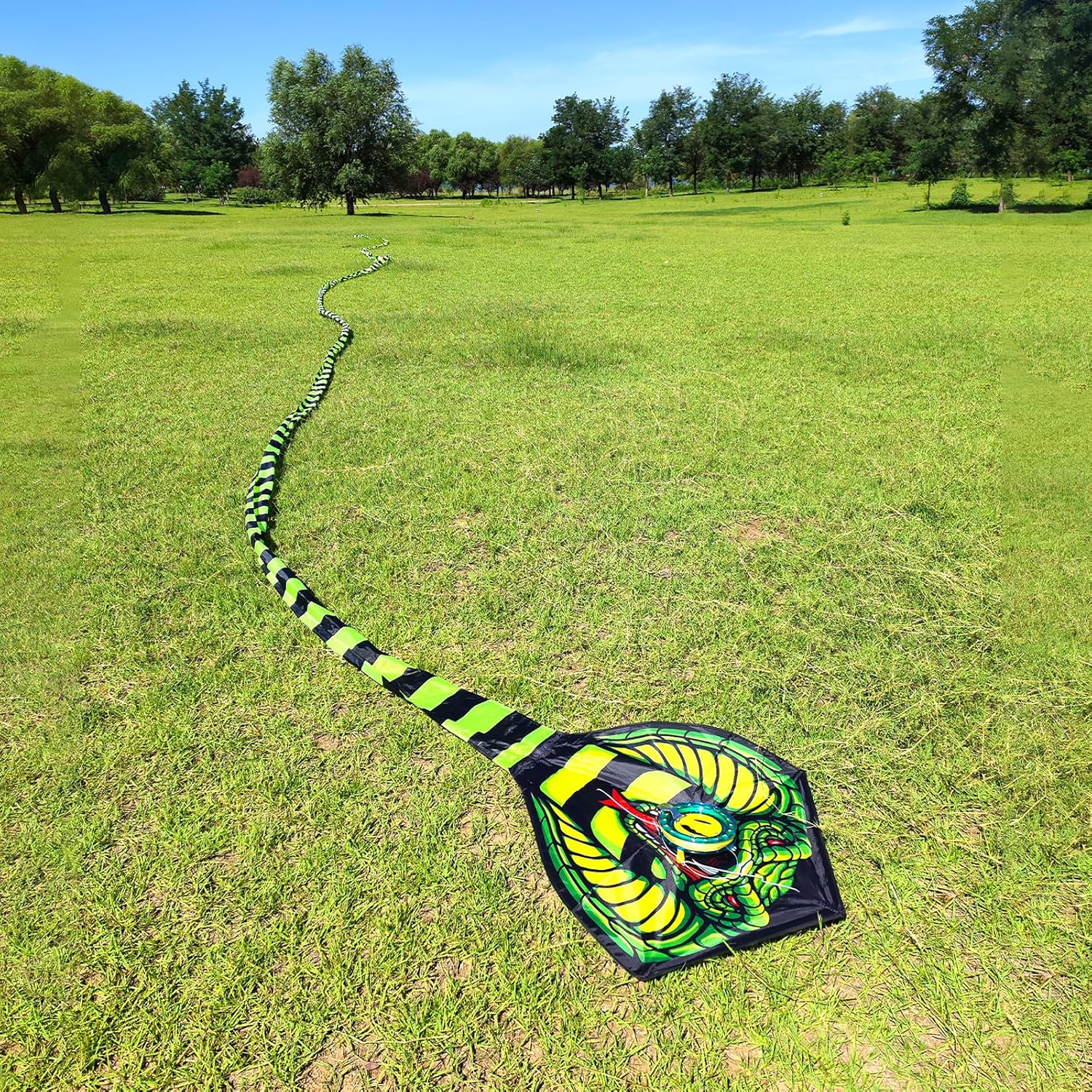 Large Cobra Kite for Adults Kids Boys with Super Long Tail, Extra Easy to Fly, Best Huge Kites for The BeachKite PartyFieldPark, It Will Dominate