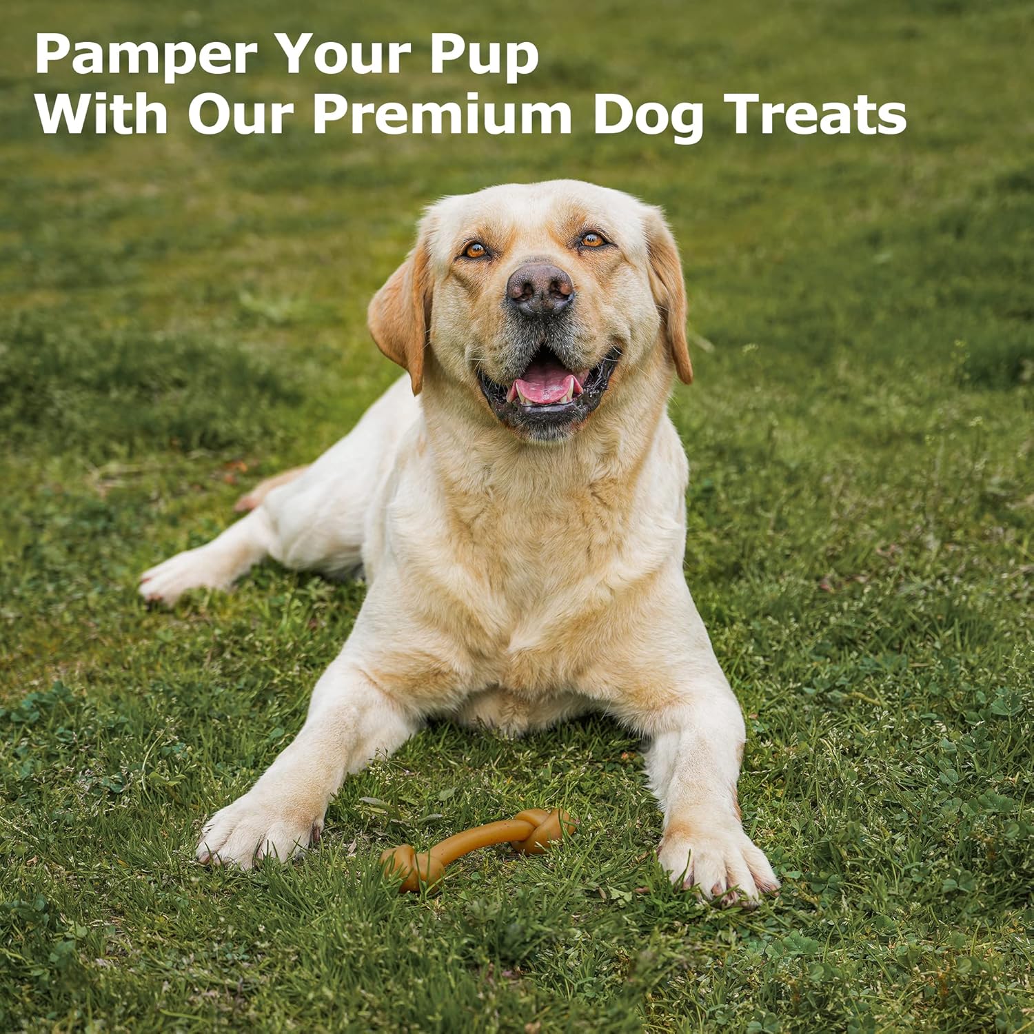 Golosinas de entrenamiento para perros sin cuero crudo, mantequilla de maní sin granos, nudos de 6.5 pulgadas para perros medianos y grandes, apoya