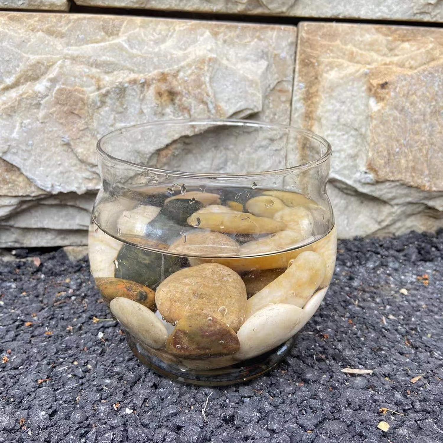 Piedras de río, plantas, jardines, paisajes, suculentas, guijarros decorativos altamente pulidos en formas y tamaños de 1 a 3 pulgadas. (23.9