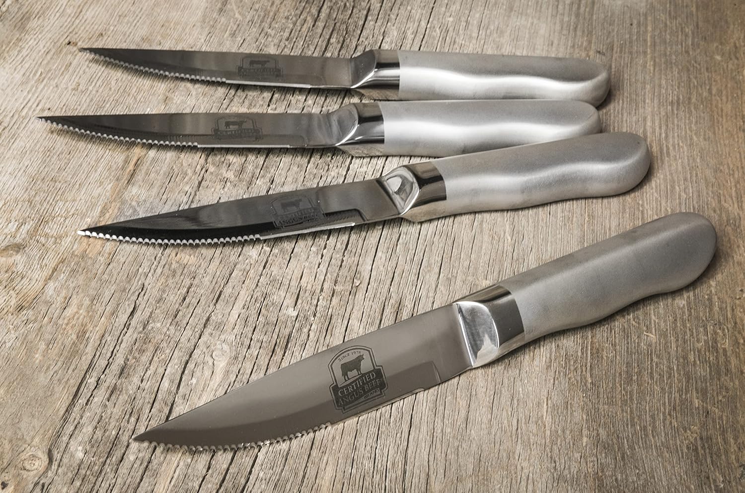 Juego de 4 cuchillos de carne de alta calidad, cuchillos dentados para los amantes de la carne, entusiastas de la carne de res y fanáticos de la