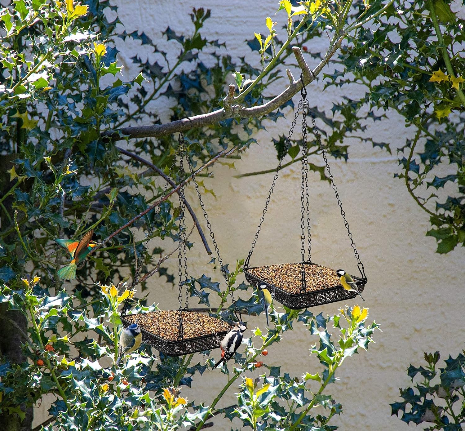 MIXXIDEA Bandeja colgante para pájaros con plataforma de malla metálica con cadenas duraderas para jardín al aire libre, ideal para atraer pájaros