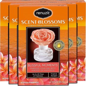 Renuzit – Difusor de fragancia de flores aromáticas para regalo, flor hecha a mano, infundida con aceites esenciales, difusor pequeño decorativo, Renuzit – Difusor de fragancia de flores aromáticas para regalo, flor hecha a mano, infundida con aceites esenciales, difusor pequeño decorativo,