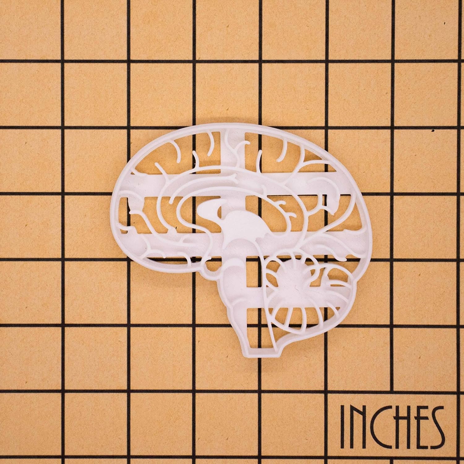 Cortador de galletas anatómico Brain, 1 pieza – Bakerlogy