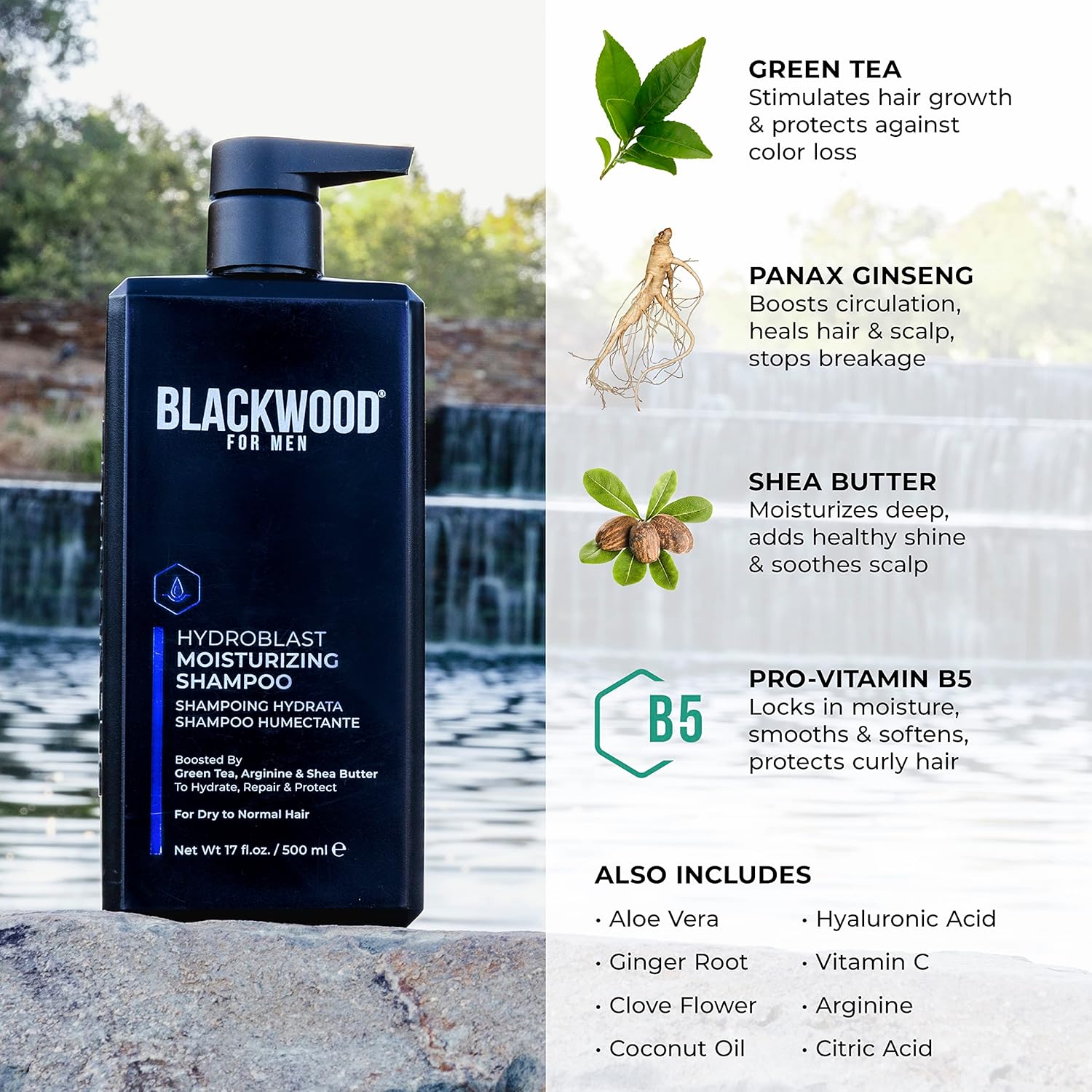 BLACKWOOD FOR MEN Hydroblast – Champú hidratante (17 onzas) y acondicionador (7.76 onzas), vegano y natural para cabello rizado y grueso, sin