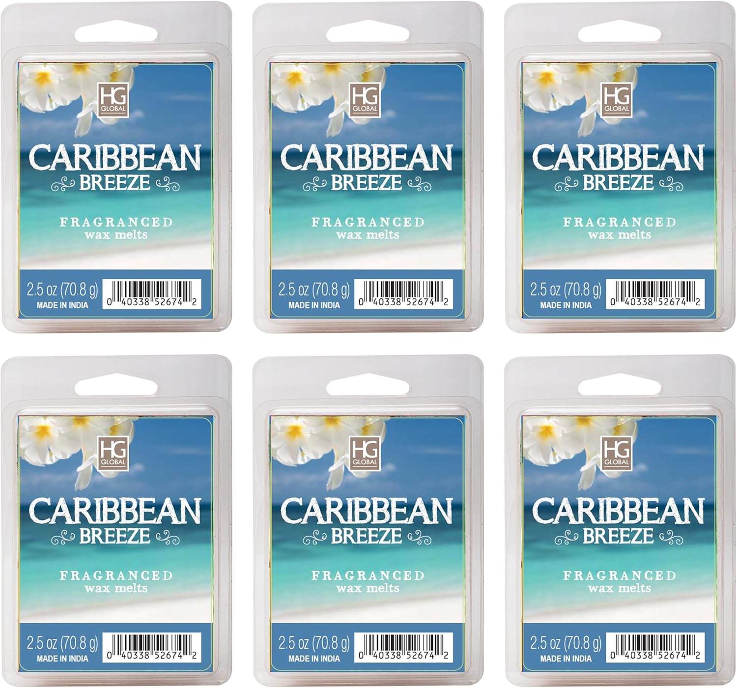 Hosley Caribbean Breeze – Juego de 6 cubos de cera para derretir de 2.5 onzas cada uno. Cera vertida a mano con aceites esenciales. Ideal para
